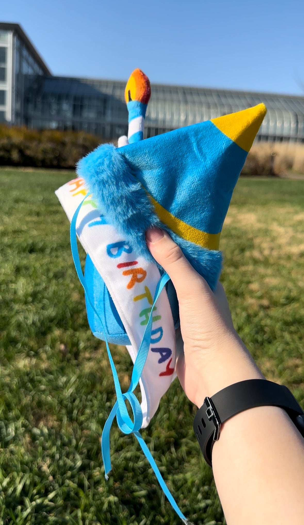 Rocky's and Baby Rocky's Birthday Outfits