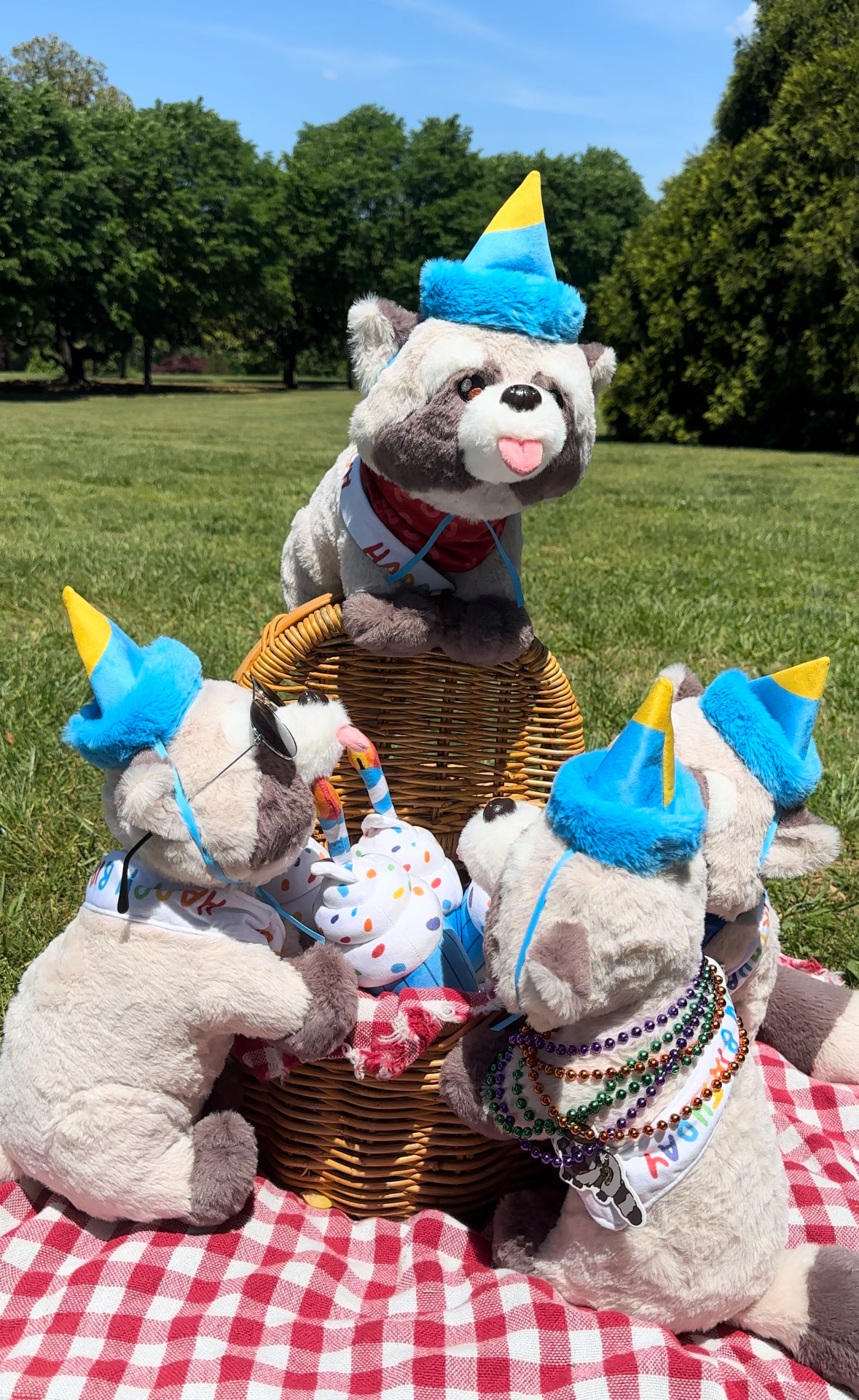 Rocky's and Baby Rocky's Birthday Outfits