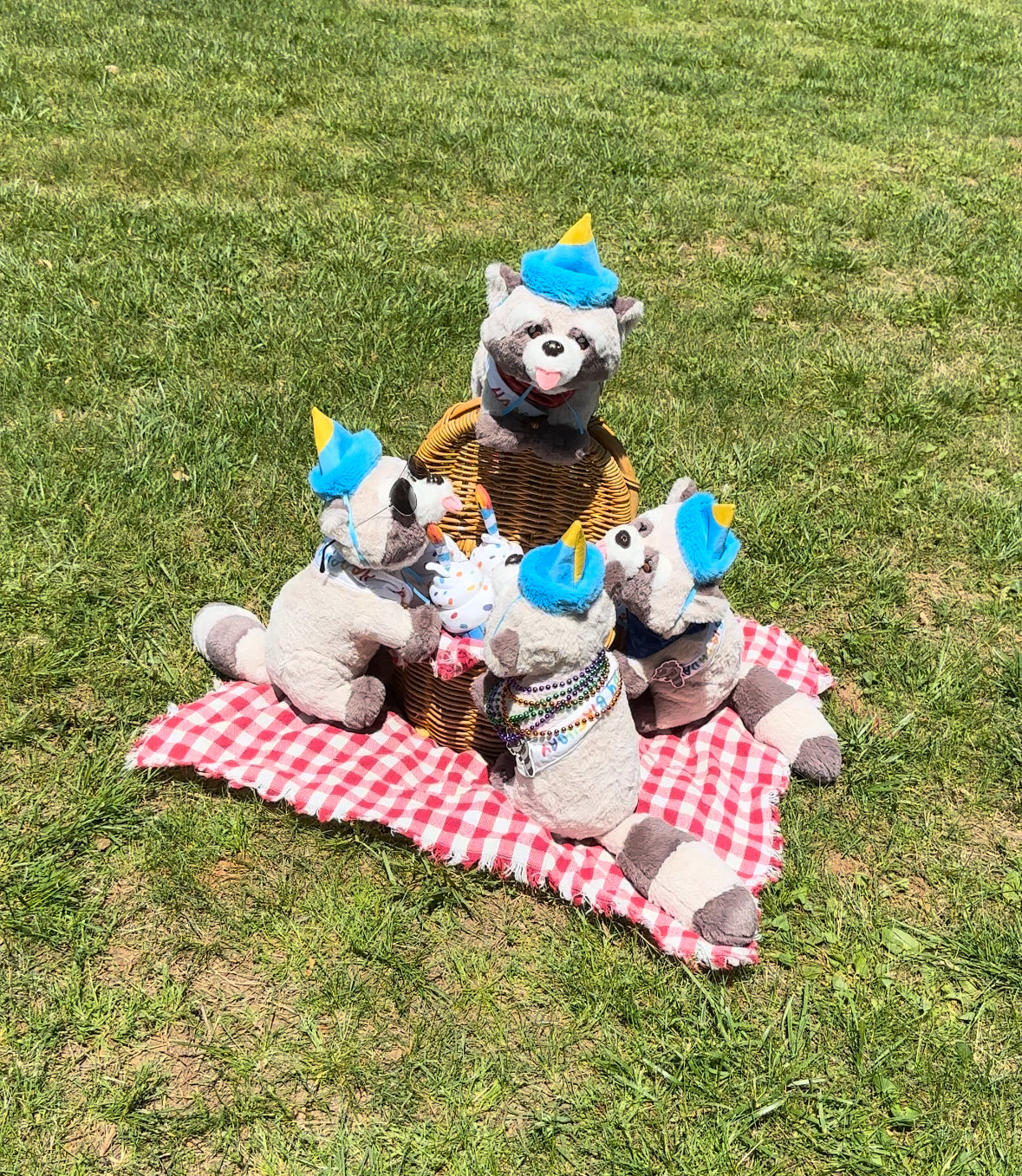 Rocky's and Baby Rocky's Birthday Outfits