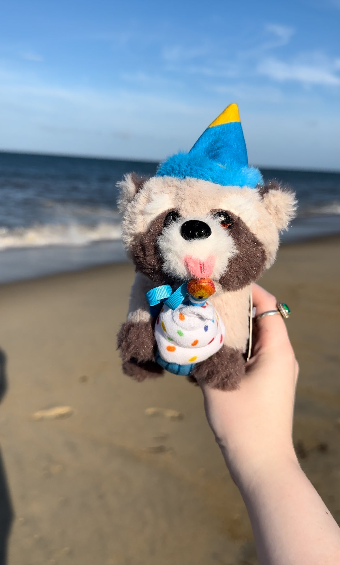 Rocky's and Baby Rocky's Birthday Outfits