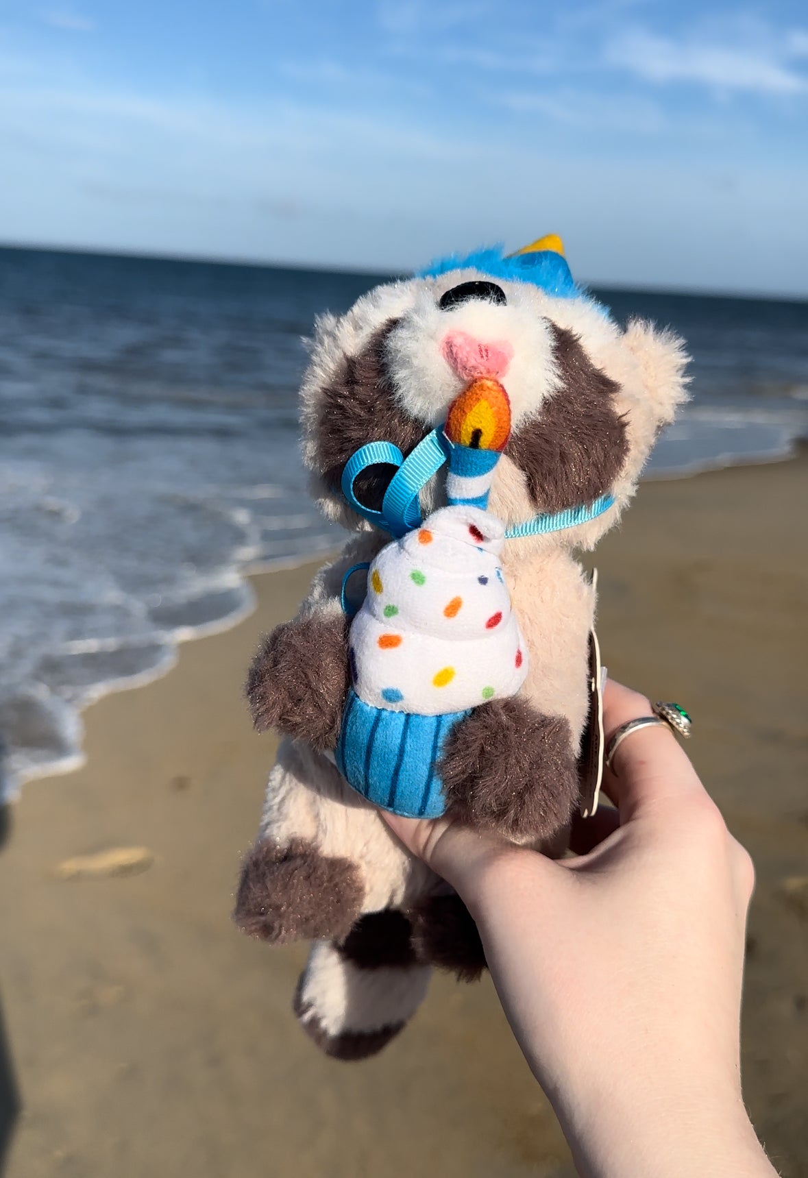 Rocky's and Baby Rocky's Birthday Outfits