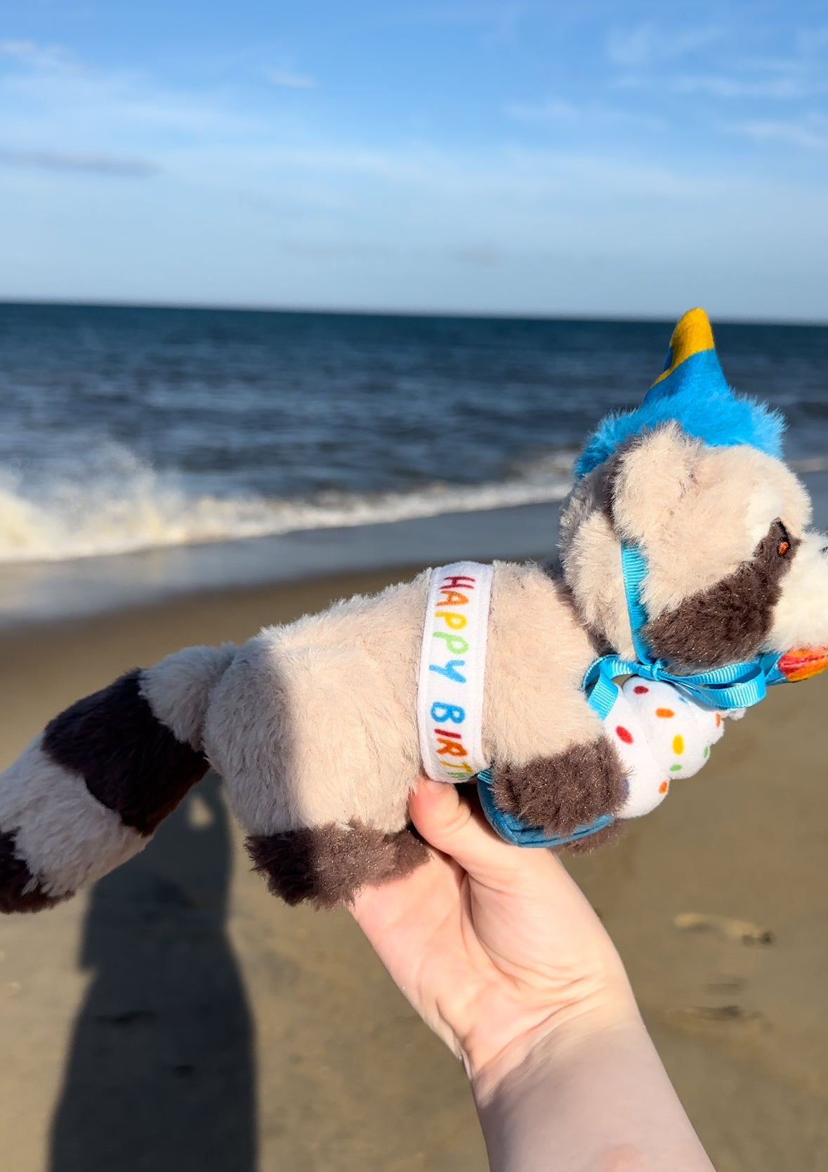 Rocky's and Baby Rocky's Birthday Outfits