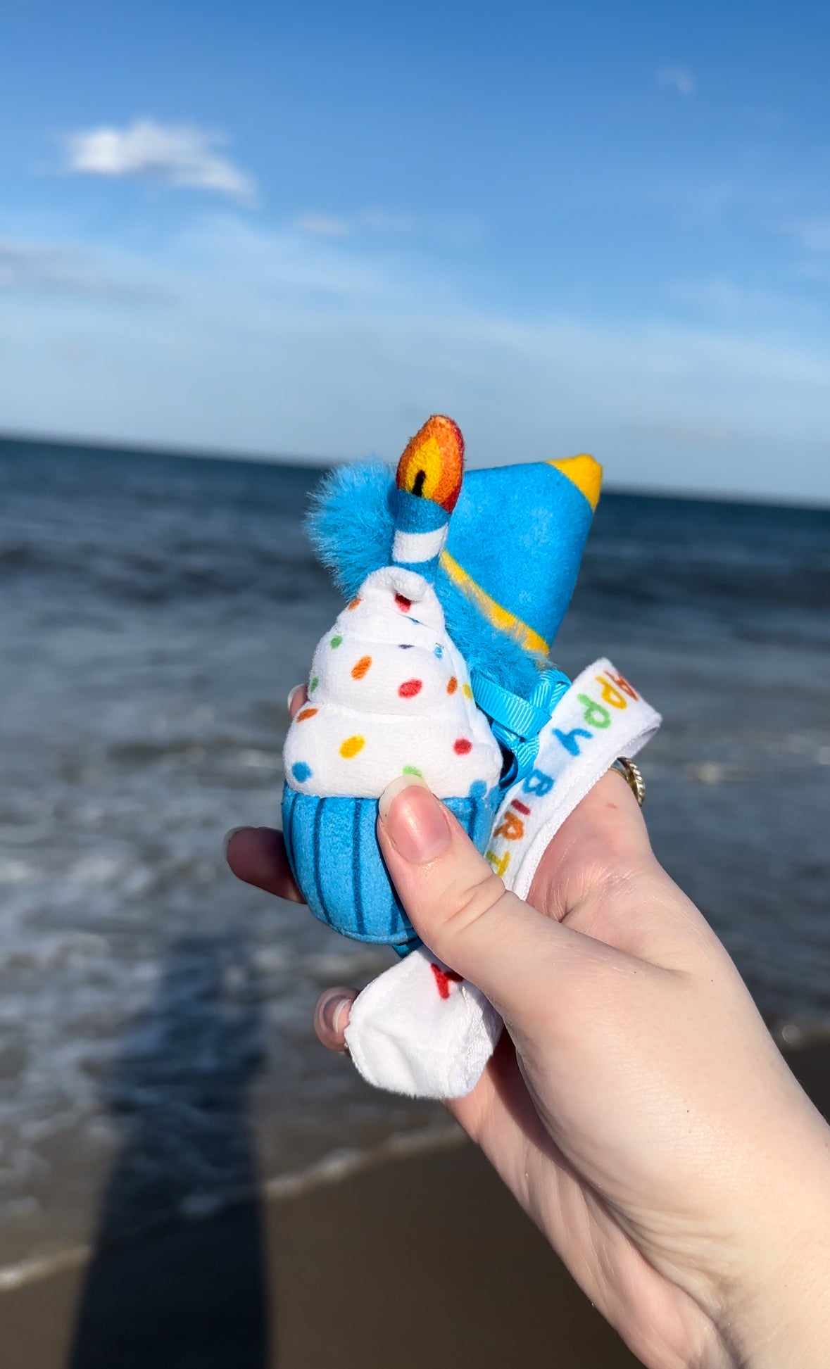 Rocky's and Baby Rocky's Birthday Outfits