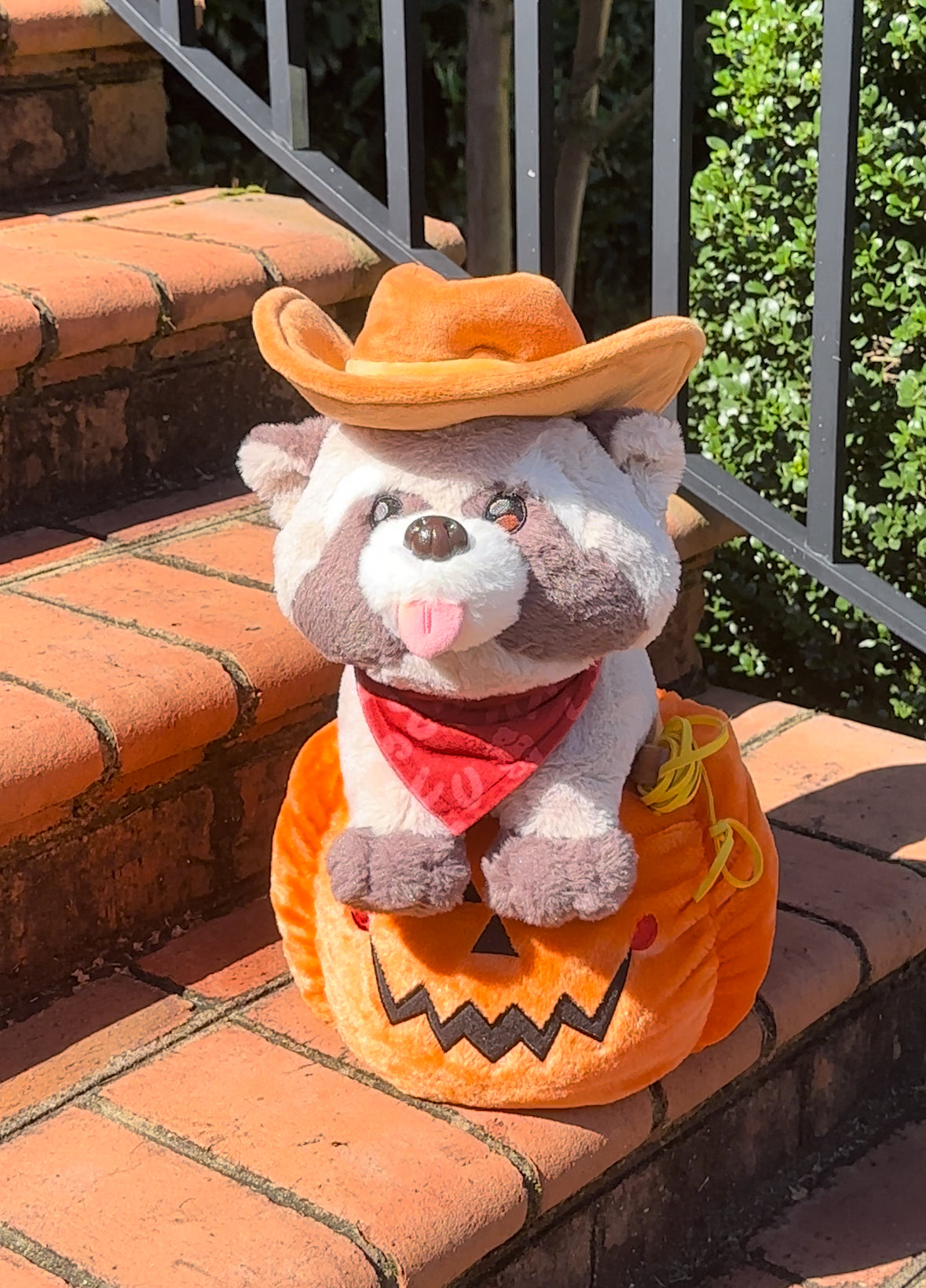 A chance to win a rocky!! (1 Ticket = 1 Entry) Ends 06/01 at 2PM EST 