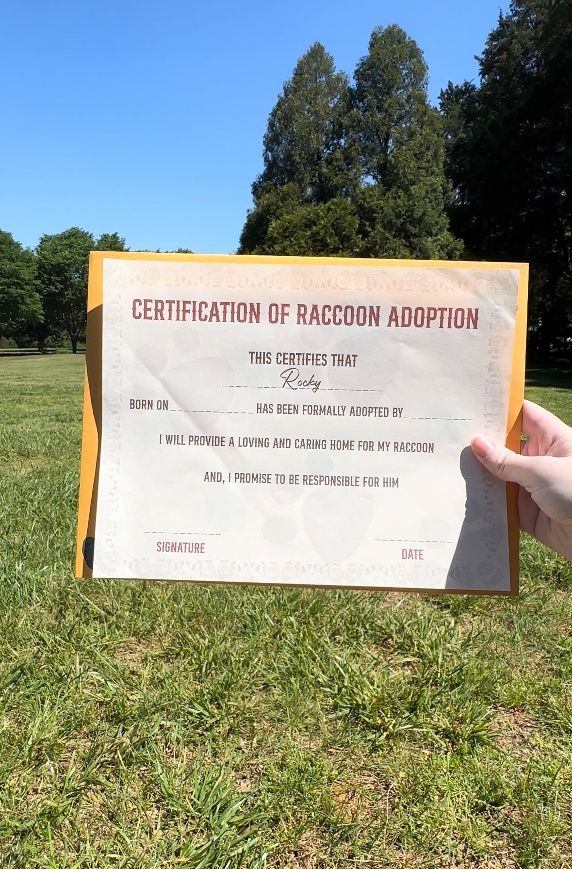 Rocky the Raccoon Fully Posable Plush