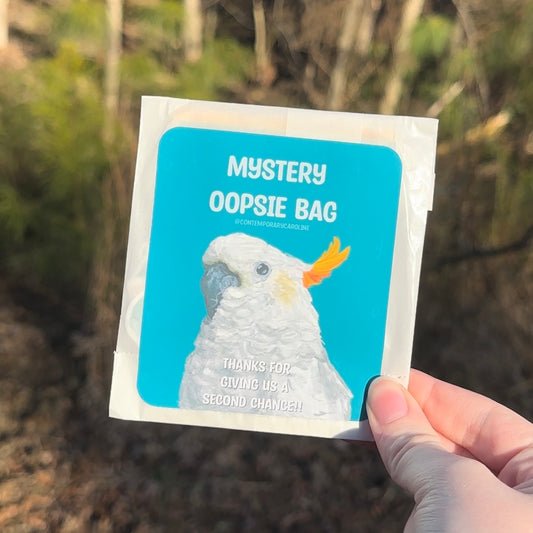 oopsy grab bags