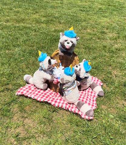 Rocky's and Baby Rocky's  Birthday Outfits