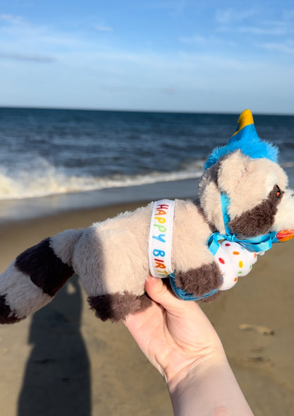 Rocky's and Baby Rocky's  Birthday Outfits