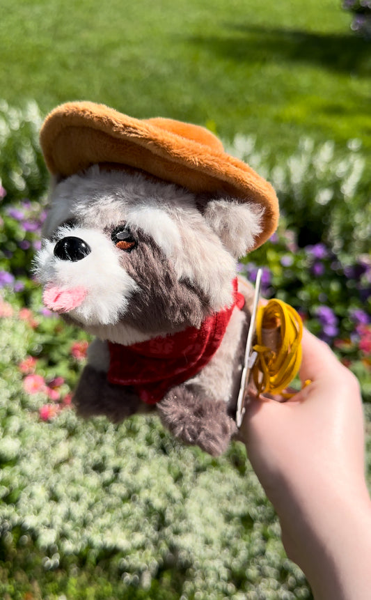 Baby Rocky the Raccoon Fully Posable Plush (LIMITED EDITION /100)