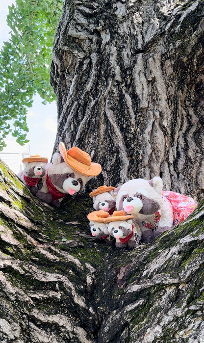 Baby Rocky the Raccoon Fully Posable Plush (LIMITED EDITION /100)