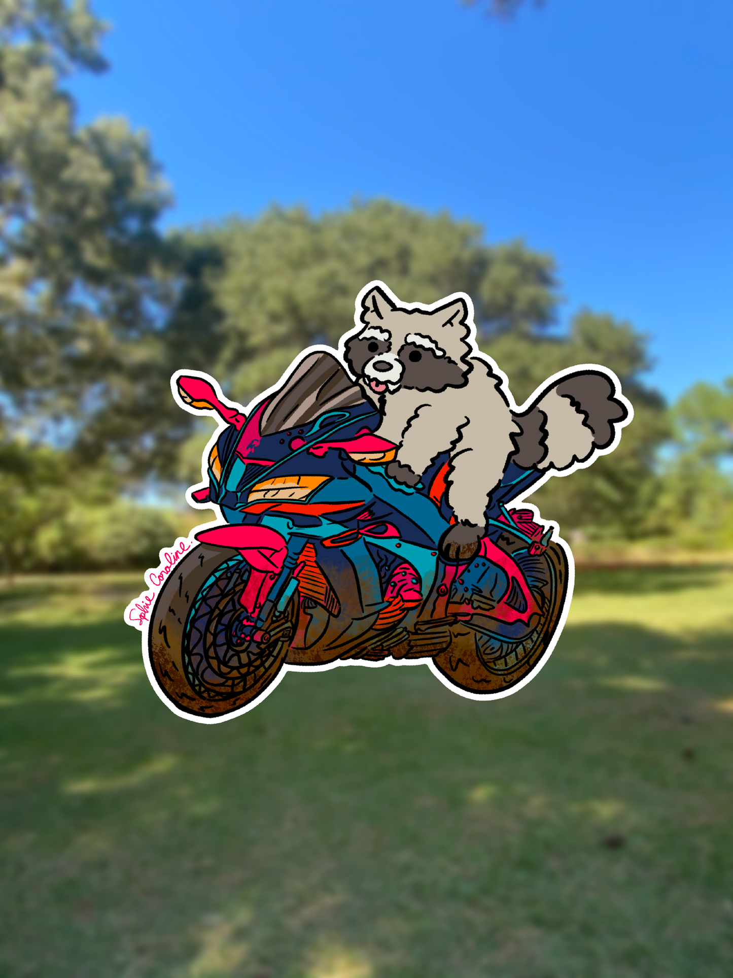 Raccoon Motorcycle Sticker